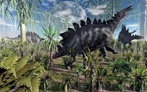 A group of herbivore Stegosaurus dinosaurs feeding during ?