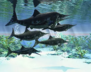 Caudal: A group of Ichthyosaurs swimming in prehistoric waters
