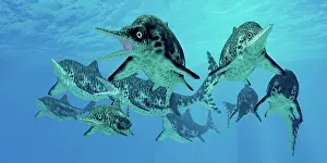 Ichthyosaur: A group of Ichthyosaurs swimming in prehistoric waters