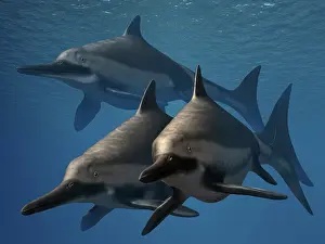 Sinemurian: A group of Ichthyosaurus aquatic reptiles from the Early ?
