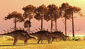 Thyreophora: A group of Kentrosaurus armored dinosaur during