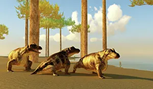 Synapsid: A group of Keratocephalus prehistoric animals
