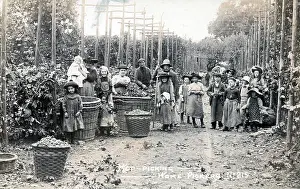The Andrew Jenkins Collection: Group of London Hop Pickers in Kent