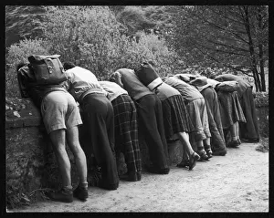 Intriguing: GROUP LOOKING OVER WALL