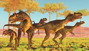 Megalosaurus: A group of Megalosaurus dinosaurs hunting in the