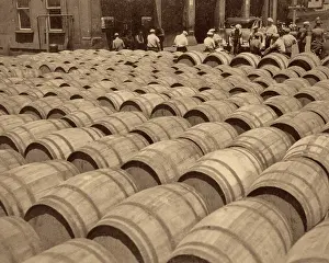 Stevedores: Group of Men Stevedores Unloading Wood Barrels