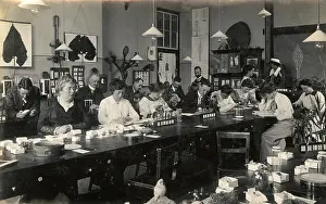 Ornithologist: A group of Ornithologists studying birds eggs