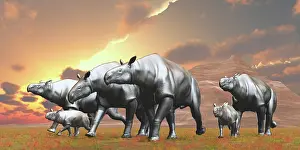 Alongside: A group of Paraceratherium mammals