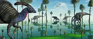 Freshness: A group of Parasaurolophus duckbill dinosaurs feed from a ?