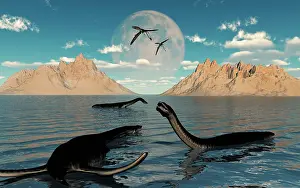 Plesiosaur: A group of Plesiosaurs relaxing on a Jurassic Day