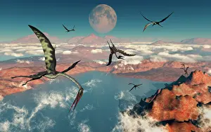 Azhdarchidae: A group of Quetzalcoatlus pterosaurs