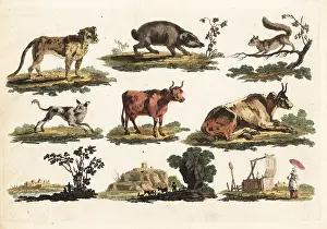 Bucolic: Group of rustic animals, 18th century