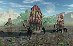 Dimetrodon: A group of sail-backed Dimetrodons during Earth's Permian ?
