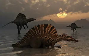Spinosaurus: A group of Spinosaurus