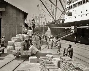 Stevedores: Group of Stevedores Loading Rubber and Tin on