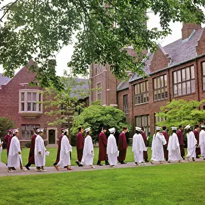 Graduating: Group of Students Wearing Caps and Gowns Walking in Gra