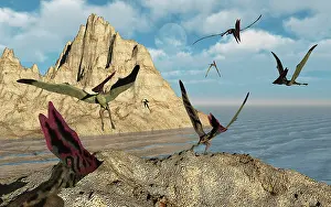 Thalassodromeus: A group of Thalassodromeus pterosaurs