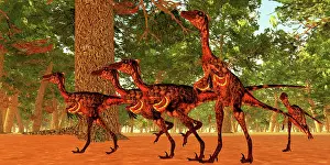Formosus: Group of Troodon dinosaurs huntng in the woods