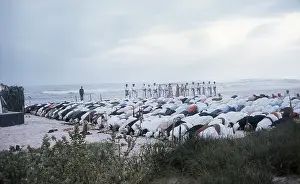 Easterni: Groups of Omani elders kneel praying in Oman