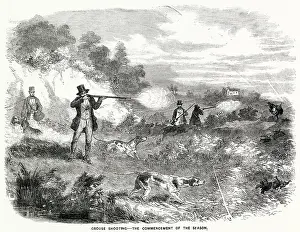 Pointers: Grouse Shooting