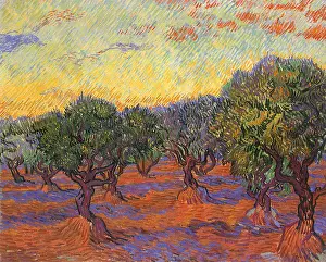 Russet: Grove of Olive Trees, by Van Gogh