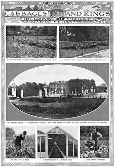Plots: Growing vegetables for victory, WW1
