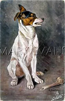Growls: GROWLING TERRIER