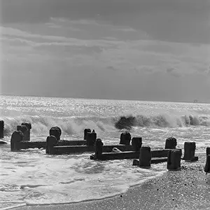 Groyne: Groynes By The Sea