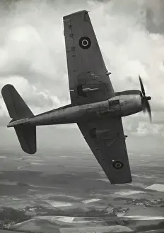 Hell Cat: Grumman F6F Hellcat