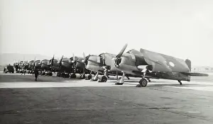 Hell Cat: Grumman F6F Hellcat