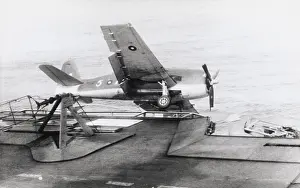 Hell Cat: Grumman F6F Hellcat