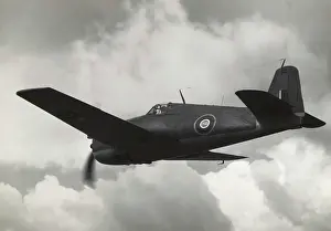 Hell Cat: Grumman F6F Hellcat