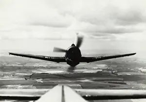 Hell Cat: Grumman F6F Hellcat