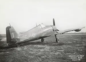 Hell Cat: Grumman F6F Hellcat