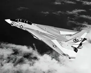 Tomcat: Grumman G-303 F-14 Tomcat