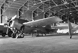 Loughborough: Grumman G-36A Martlet I AL246