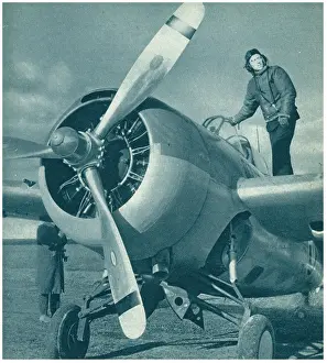 Martlet: Grumman Martlet Fighter