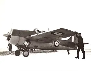Martlet: Grumman Martlet I AX828