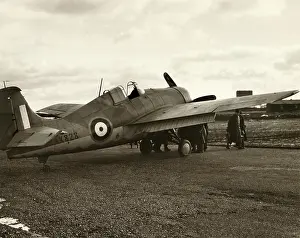 Martlet: Grumman Martlet I AX828