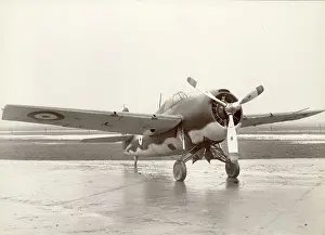 Martlet: Grumman Martlet I BJ570