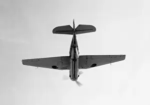Avenger: Grumman Tarpon
