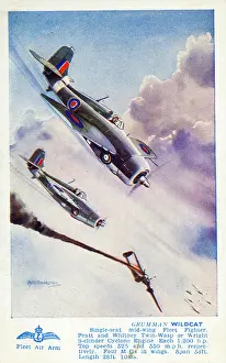 Single Seat: Grumman Wildcat