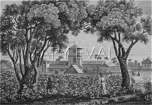 Guadeloupe: GUADELOUPE PLANTATION