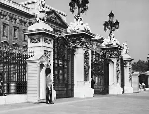 GUARD/BUCKINGHAM PALACE
