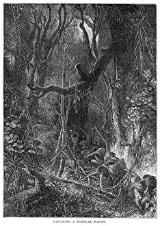 Guatemala: GUATEMALA JUNGLE