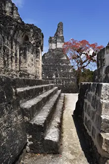 Guatemalan: Guatemala. Tikal. Maya Art