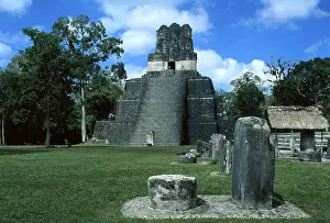 Guatemalan: Guatemala. Tikal. Maya pyramid