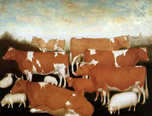 Graze: Guernsey Cows and Sheep