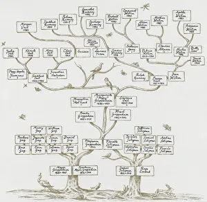 Lineage: Guggenheim Family Tree