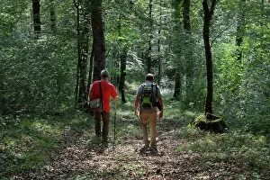 Auberive: Guided walk, Parc National de Forets, Haute-Marne, France